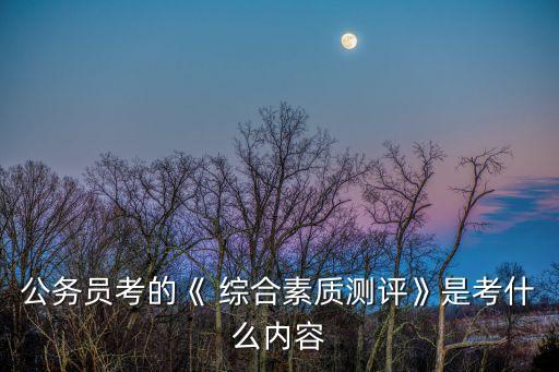 公務員考的《 綜合素質(zhì)測評》是考什么內(nèi)容