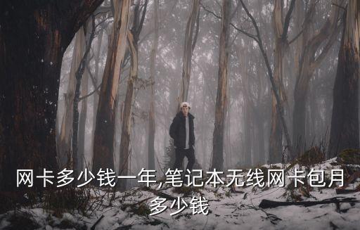無(wú)線網(wǎng)卡多少錢一年,筆記本無(wú)線網(wǎng)卡包月多少錢