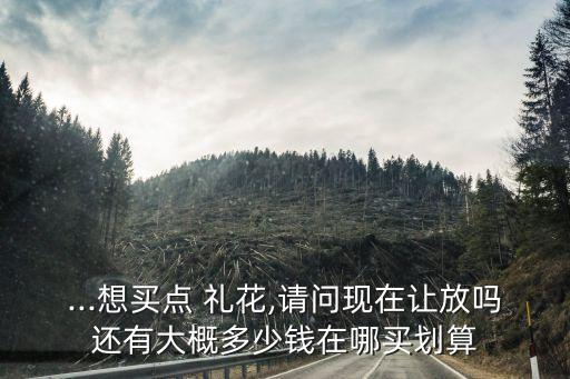 禮花多少錢一個(gè),大型煙花多少錢一個(gè)