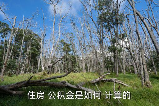 住房 公積金是如何 計(jì)算的