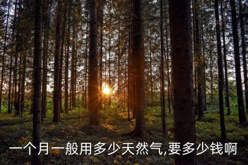 燃?xì)馐召M標(biāo)準(zhǔn),邯鄲華潤燃?xì)馐召M標(biāo)準(zhǔn)