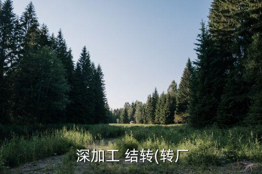 深加工結(jié)轉(zhuǎn),什么叫深加工結(jié)轉(zhuǎn)