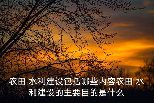 農(nóng)田 水利建設(shè)包括哪些內(nèi)容農(nóng)田 水利建設(shè)的主要目的是什么