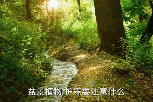 護(hù)養(yǎng)