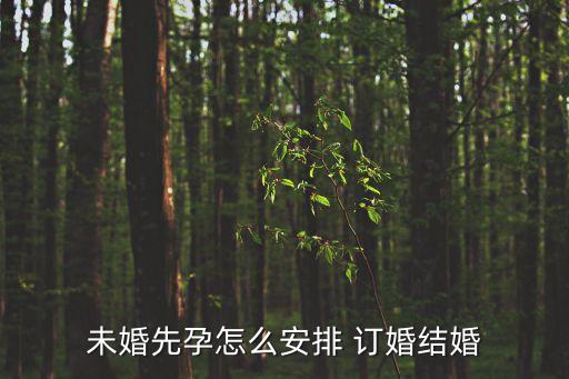 未婚先孕怎么安排 訂婚結(jié)婚