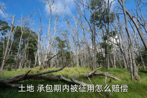 承包地被占用如何補(bǔ)償,我家的土地被別人強(qiáng)占怎么解決