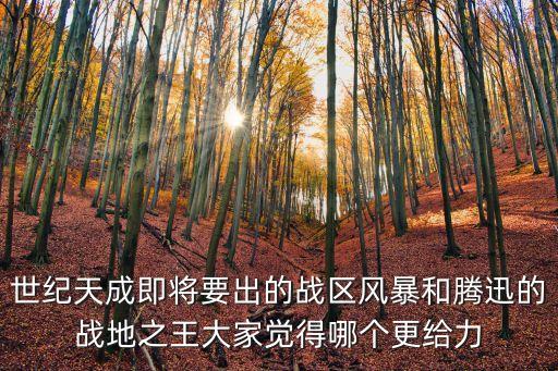世紀(jì)天成即將要出的戰(zhàn)區(qū)風(fēng)暴和騰迅的戰(zhàn)地之王大家覺(jué)得哪個(gè)更給力