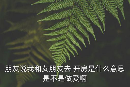 朋友說我和女朋友去 開房是什么意思是不是做愛啊
