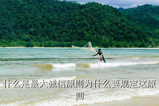 什么是最大誠信原則為什么要規(guī)定這原則