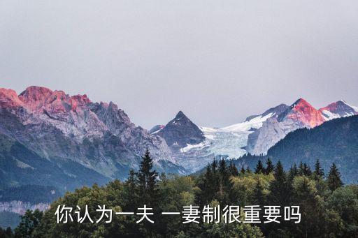 你認(rèn)為一夫 一妻制很重要嗎