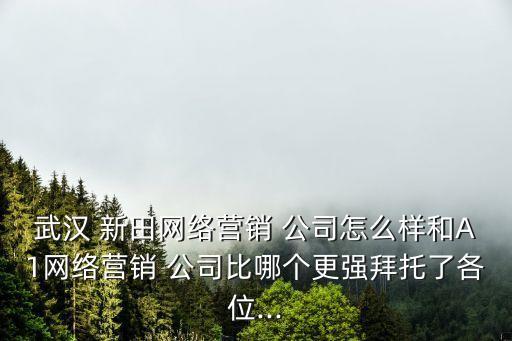 新田公司,昌邑吳新田公司