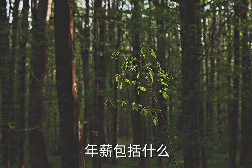  年薪包括什么