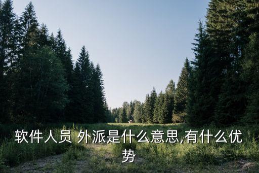 外派