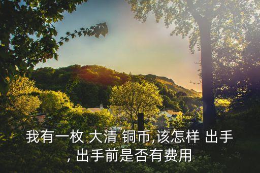 大清銅幣出手