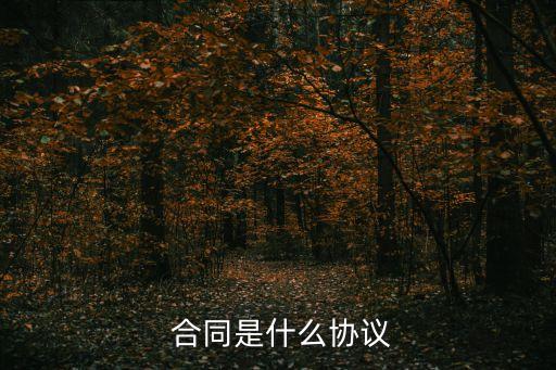 合同是什么法律規(guī)定