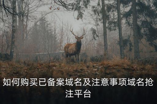 如何購買已備案域名及注意事項域名搶注平臺