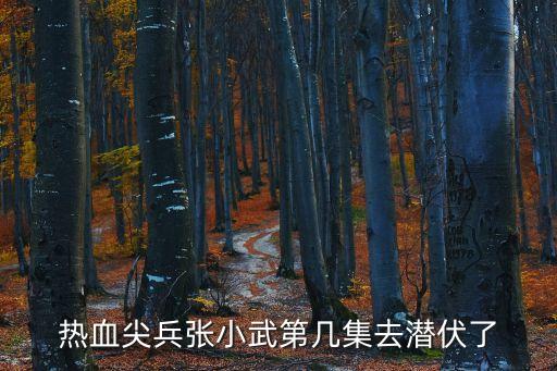張麗芳