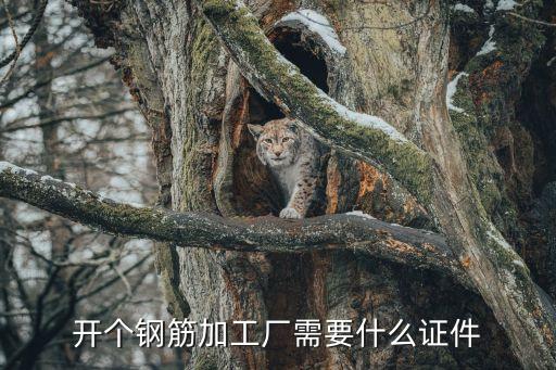 無業(yè)證明模板