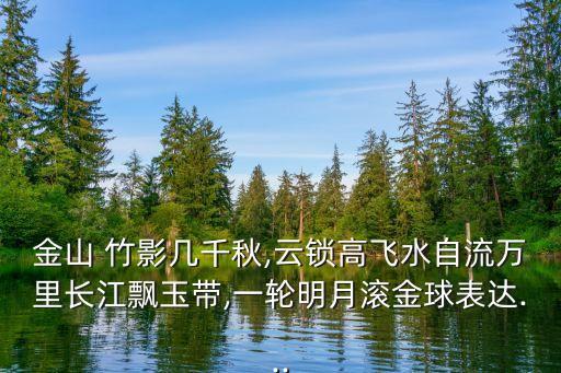 竹影搖曳