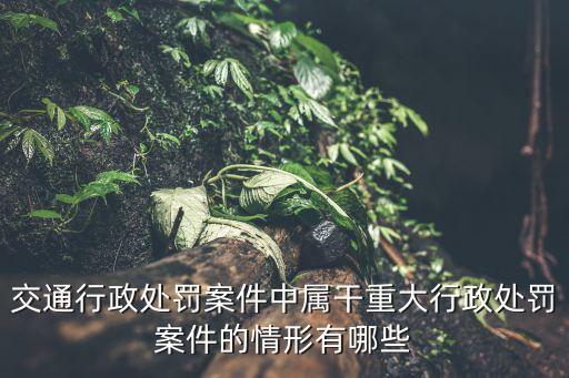 重大行政處罰，交通行政處罰案件中屬干重大行政處罰案件的情形有哪些