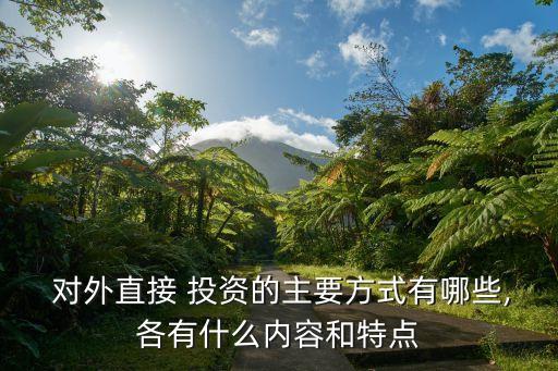 對(duì)外直接投資