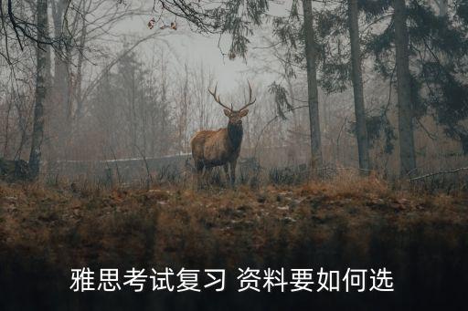 雅思考試復習 資料要如何選