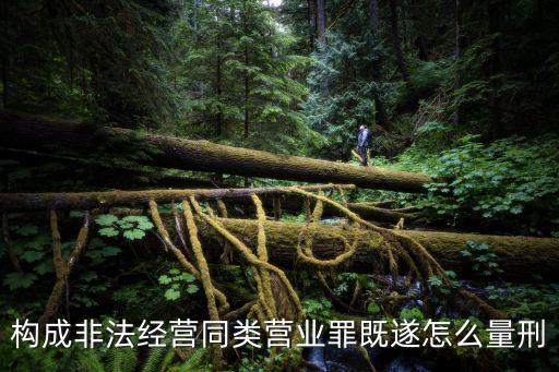 非法經(jīng)營(yíng)同類營(yíng)業(yè)罪，達(dá)到什么標(biāo)準(zhǔn)非法經(jīng)營(yíng)同類營(yíng)業(yè)罪才能立案