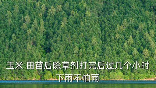 玉米 田苗后除草劑打完后過幾個(gè)小時(shí)下雨不怕雨
