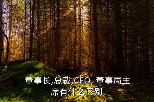  董事長,總裁,CEO, 董事局主席有什么區(qū)別