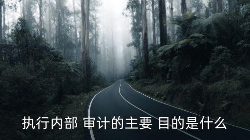 審計(jì)目的,經(jīng)濟(jì)責(zé)任審計(jì)目的