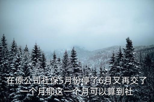 五月停，5月1日停止流通的人民幣是哪些