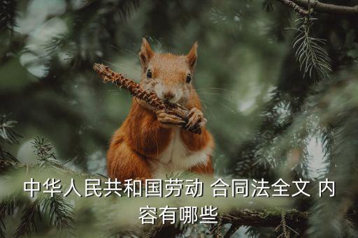 合同法的相關(guān)內(nèi)容