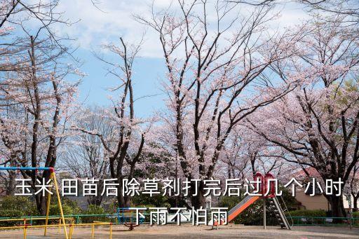 玉米 田苗后除草劑打完后過幾個(gè)小時(shí)下雨不怕雨