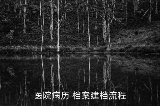 醫(yī)院病歷 檔案建檔流程