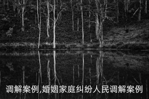 人民調解案例,婚姻家庭糾紛人民調解案例