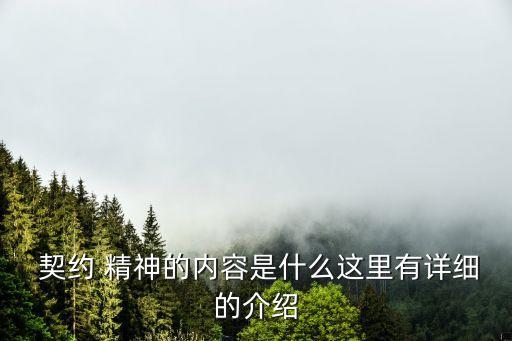  契約 精神的內(nèi)容是什么這里有詳細(xì)的介紹