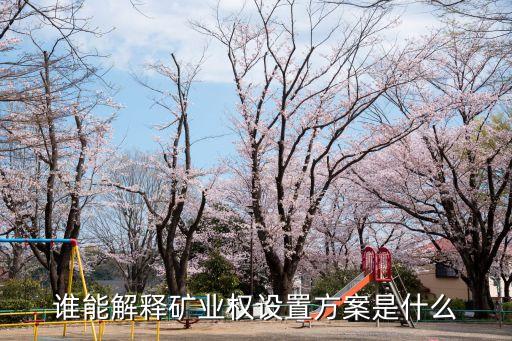 礦業(yè)權(quán)，誰(shuí)能解釋礦業(yè)權(quán)設(shè)置方案是什么