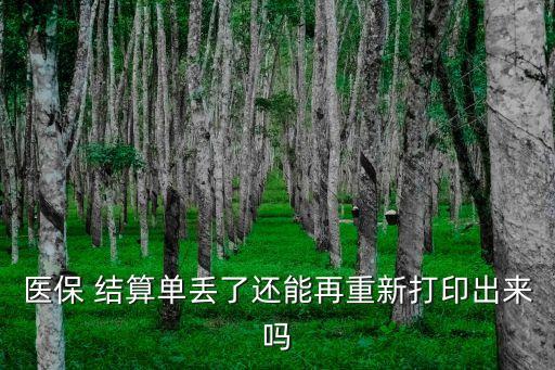 醫(yī)保 結(jié)算單丟了還能再重新打印出來嗎