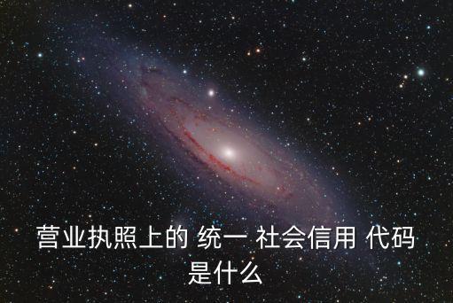社會(huì)統(tǒng)一代碼,用天眼怎么查社會(huì)統(tǒng)一代碼