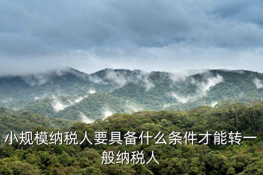 小規(guī)模納稅人要具備什么條件才能轉(zhuǎn)一般納稅人