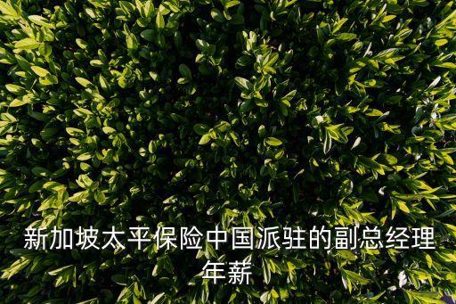  新加坡太平保險中國派駐的副總經(jīng)理年薪