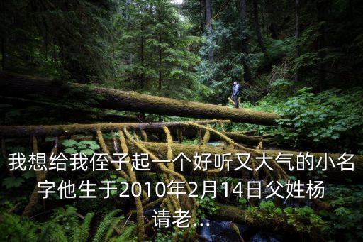 我想給我侄子起一個(gè)好聽又大氣的小名字他生于2010年2月14日父姓楊請老...
