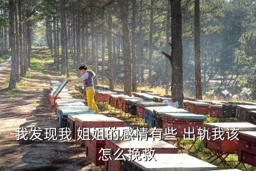 出軌的姐姐