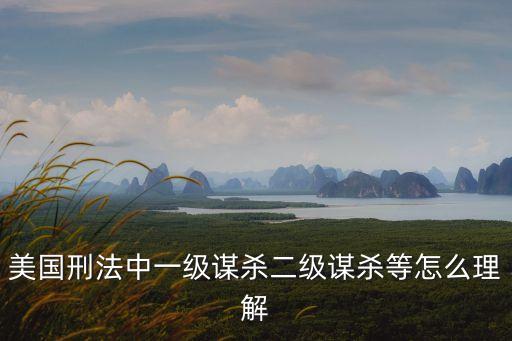 二級謀殺，美國刑法中一級謀殺二級謀殺等怎么理解