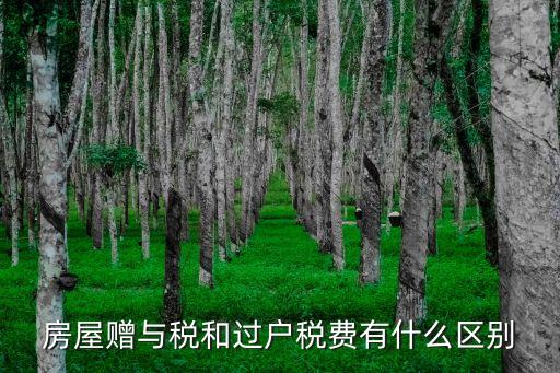 贈(zèng)予稅
