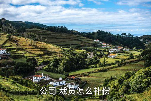 公司 裁員怎么補(bǔ)償