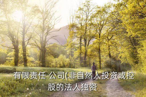 有限責(zé)任公司是什么意思,營(yíng)業(yè)執(zhí)照類(lèi)型其他有限責(zé)任公司是什么意思