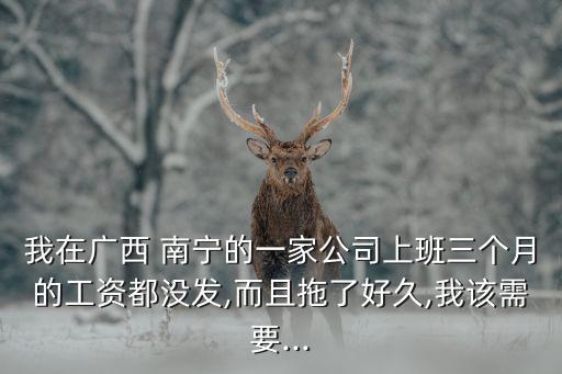 我在廣西 南寧的一家公司上班三個月的工資都沒發(fā),而且拖了好久,我該需要...