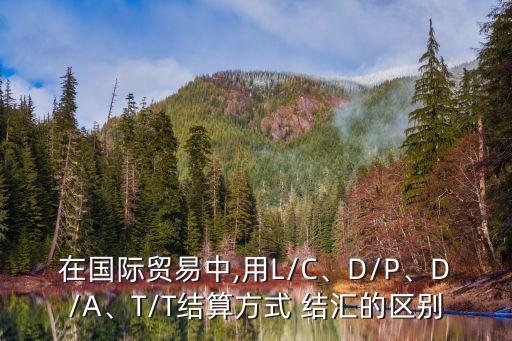 結匯方式,亞馬遜平臺的結算與結匯方式
