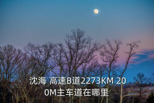  沈海 高速B道2273KM 200M主車道在哪里